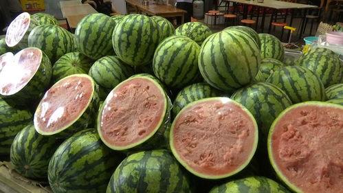 甘肃陇南网红吃两天瓜,两天瓜果盛宴，尽享田园风情