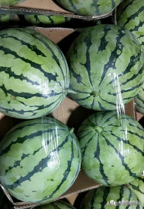 2021网红吃瓜链接