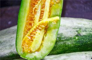 2021网红吃瓜链接