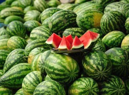 2021网红吃瓜链接