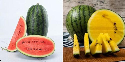 718s吃瓜网,揭秘娱乐圈最新热点，带你畅游八卦海洋