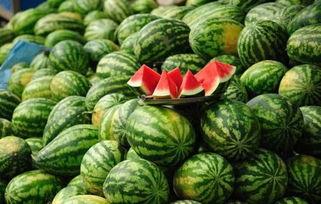 哈尔滨网红吃瓜事件真相,揭秘背后真相与争议