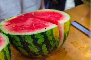 swag吃大瓜吃瓜网,揭秘吃瓜网背后的热门话题与娱乐资讯