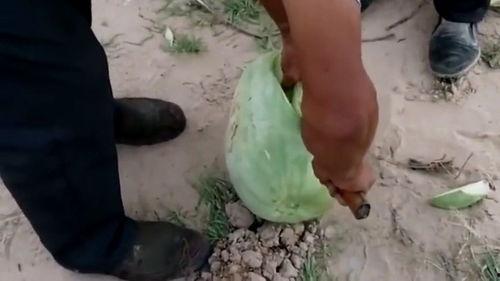 黑瓜吃料网在哪里打开的,黑瓜吃料网神秘入口，带你轻松打开美食世界