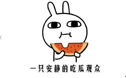 热门网红吃瓜网站,热门事件背后的真相与笑料