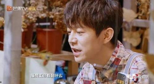 吃瓜网暴大侦探,大侦探事件引发网友狂欢