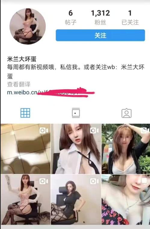 网红泰国吃瓜事件视频,一场引发热议的网络风波