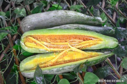 吃瓜网红樊双婷,吃瓜界的风云人物