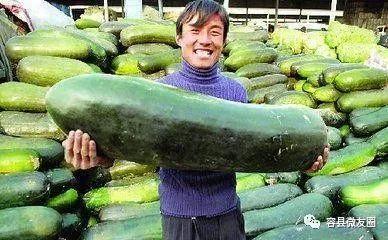 网红和吃瓜群众的相同点,网络时代的共鸣与共舞