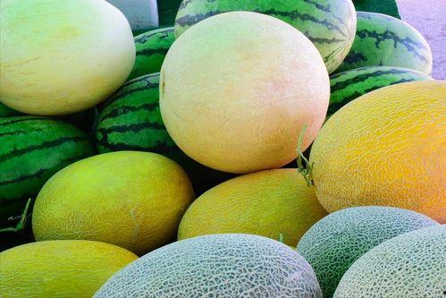 吃瓜群最新官网地址,吃瓜群最新官网地址，带你畅游瓜界新天地