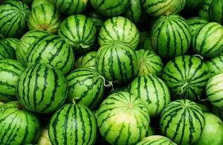 吃瓜群最新官网地址,吃瓜群最新官网地址，带你畅游瓜界新天地