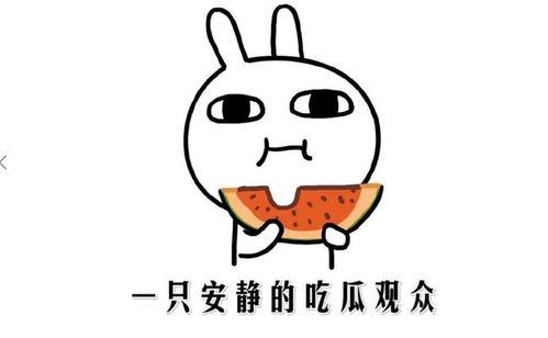 吃瓜网红的网站有哪些呀,揭秘各大网站瓜田