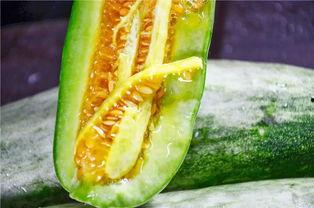 吃瓜网红 图片高清壁纸,高清壁纸下的吃瓜网红风采