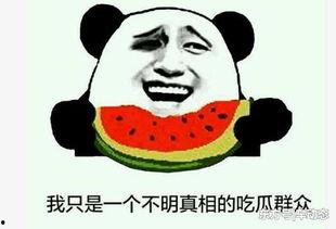 打假网红吃瓜事件真相