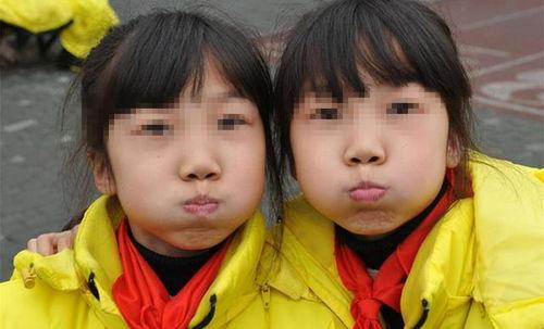 双胞胎姐妹俩网红吃瓜,揭秘娱乐圈幕后真相