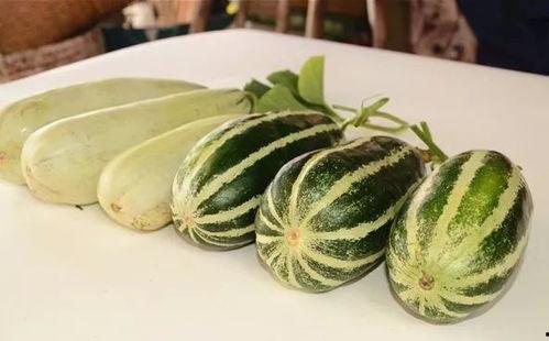 吃瓜网红网站免费入口,带你畅游娱乐资讯海洋