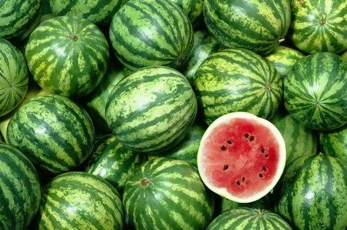 吃瓜网红网站免费入口,带你畅游娱乐资讯海洋