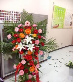 吃瓜网 唐山花店