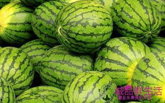 吃瓜网每日分享,揭秘娱乐圈幕后故事，带你领略明星真实生活