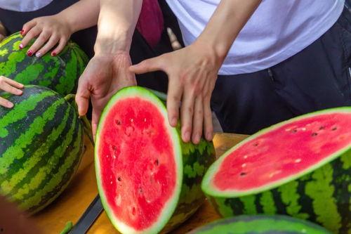 大一网吧吃瓜,揭秘校园网络生活点滴