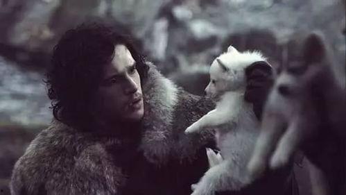 吃瓜的雪诺 别当网红,从吃瓜达人到网红之路的逆袭