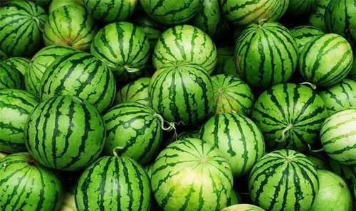 今日吃瓜官网最新,揭秘娱乐圈最新热点事件