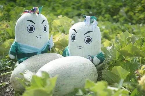 网红驯鹿吃瓜图片搞笑版,笑料横飞，网红动物界的搞笑担当！