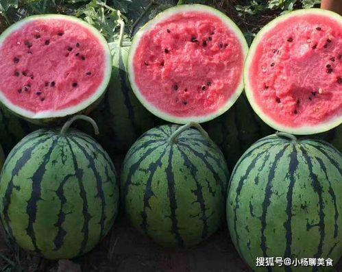 吃瓜网红文案怎么写好,如何撰写引人入胜的文案攻略