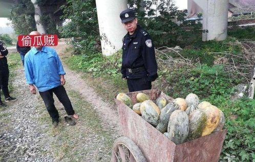 延安网红吃瓜事件真相揭秘