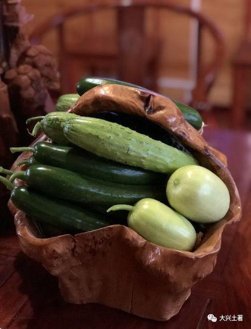 唐山网红吃瓜,揭秘网络红人的幕后故事