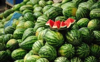 西昌吃瓜事件网红是谁呀,揭秘网红背后的真相