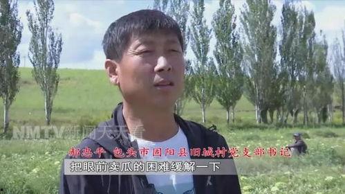 吃瓜网老王,揭秘娱乐圈幕后故事，带你领略明星真实生活