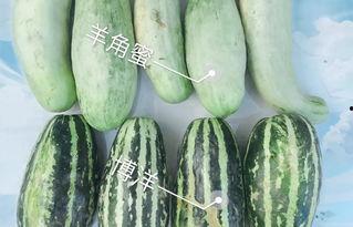 百万网红让我吃瓜是真的吗,是真是假，一探究竟