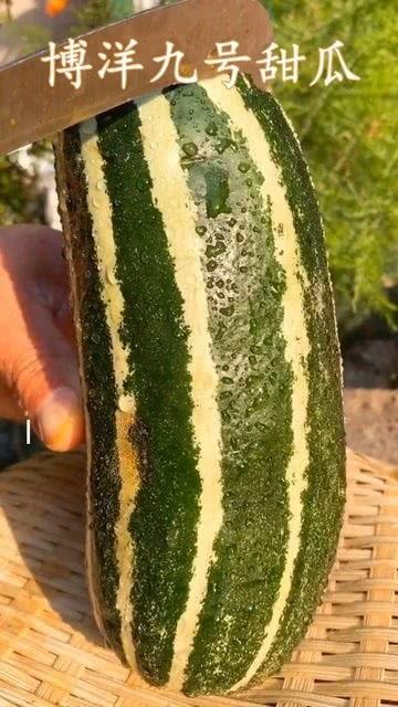 吃瓜网为什么没有了,揭秘网络平台沉浮背后的故事