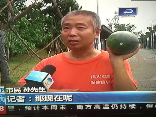 吃瓜网热门事件曹县