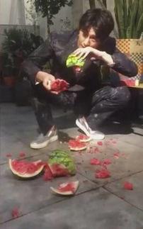 温县网红吃瓜事件视频,一场网络狂欢背后的真相揭秘