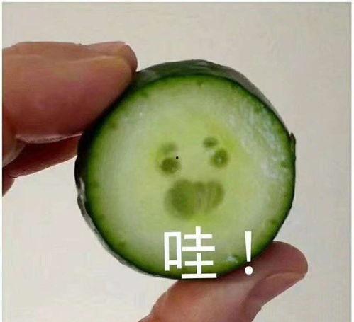 网红吃瓜头像微信背景